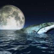 ヒメ日記 2025/08/30 18:44 投稿 西本 MadameRest(マダムレスト)