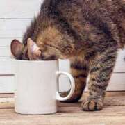 ヒメ日記 2025/08/31 21:37 投稿 西本 MadameRest(マダムレスト)