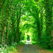 ヒメ日記 2025/09/03 05:37 投稿 西本 MadameRest(マダムレスト)