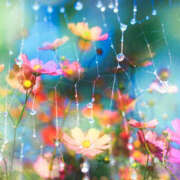 ヒメ日記 2025/09/05 08:55 投稿 西本 MadameRest(マダムレスト)