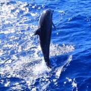 ヒメ日記 2025/09/11 05:51 投稿 西本 MadameRest(マダムレスト)