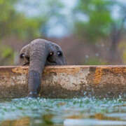 ヒメ日記 2025/09/13 06:37 投稿 西本 MadameRest(マダムレスト)