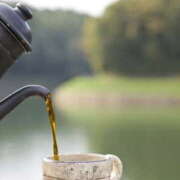 ヒメ日記 2025/09/15 06:31 投稿 西本 MadameRest(マダムレスト)