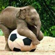 ヒメ日記 2025/09/15 09:16 投稿 西本 MadameRest(マダムレスト)