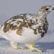 ヒメ日記 2025/09/15 11:45 投稿 西本 MadameRest(マダムレスト)