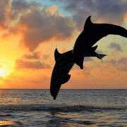 ヒメ日記 2025/09/15 18:34 投稿 西本 MadameRest(マダムレスト)