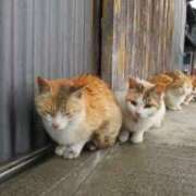 ヒメ日記 2025/09/19 09:08 投稿 西本 MadameRest(マダムレスト)