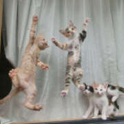 ヒメ日記 2025/09/20 08:52 投稿 西本 MadameRest(マダムレスト)