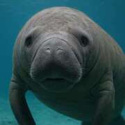 ヒメ日記 2025/09/20 15:27 投稿 西本 MadameRest(マダムレスト)