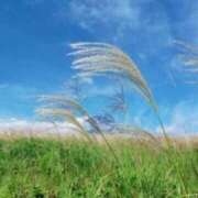 ヒメ日記 2025/09/23 12:38 投稿 西本 MadameRest(マダムレスト)