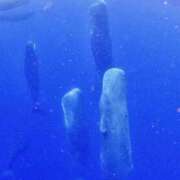 ヒメ日記 2025/09/24 09:12 投稿 西本 MadameRest(マダムレスト)