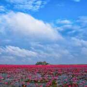 ヒメ日記 2025/09/25 05:43 投稿 西本 MadameRest(マダムレスト)