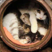 ヒメ日記 2025/09/26 05:19 投稿 西本 MadameRest(マダムレスト)