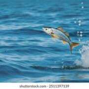 ヒメ日記 2025/10/06 05:44 投稿 西本 MadameRest(マダムレスト)