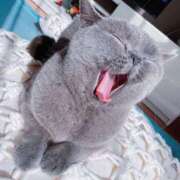 ヒメ日記 2025/10/06 09:07 投稿 西本 MadameRest(マダムレスト)