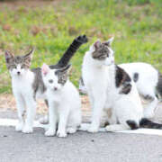 ヒメ日記 2025/10/07 08:51 投稿 西本 MadameRest(マダムレスト)