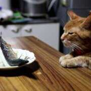 ヒメ日記 2025/10/09 19:50 投稿 西本 MadameRest(マダムレスト)