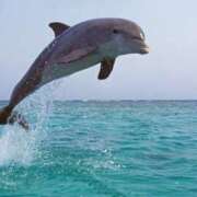 ヒメ日記 2025/10/10 05:47 投稿 西本 MadameRest(マダムレスト)