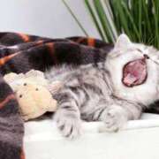 ヒメ日記 2025/10/16 06:22 投稿 西本 MadameRest(マダムレスト)