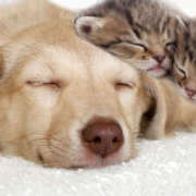 ヒメ日記 2025/10/16 20:17 投稿 西本 MadameRest(マダムレスト)