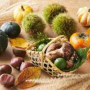 ヒメ日記 2025/10/17 09:14 投稿 西本 MadameRest(マダムレスト)