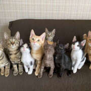 ヒメ日記 2025/10/18 08:52 投稿 西本 MadameRest(マダムレスト)