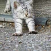 ヒメ日記 2025/10/23 05:57 投稿 西本 MadameRest(マダムレスト)