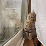 ヒメ日記 2025/10/26 06:04 投稿 西本 MadameRest(マダムレスト)