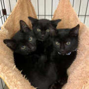 ヒメ日記 2025/10/27 08:50 投稿 西本 MadameRest(マダムレスト)