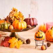 ヒメ日記 2025/10/28 08:50 投稿 西本 MadameRest(マダムレスト)