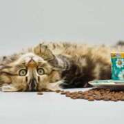 ヒメ日記 2025/10/28 19:05 投稿 西本 MadameRest(マダムレスト)