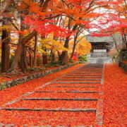 ヒメ日記 2025/10/29 06:17 投稿 西本 MadameRest(マダムレスト)