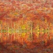 ヒメ日記 2025/11/04 06:12 投稿 西本 MadameRest(マダムレスト)