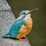 ヒメ日記 2025/11/04 08:52 投稿 西本 MadameRest(マダムレスト)