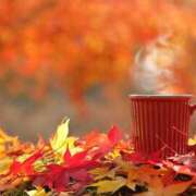 ヒメ日記 2025/11/05 06:47 投稿 西本 MadameRest(マダムレスト)