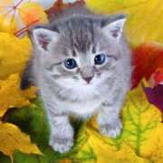 ヒメ日記 2025/11/10 09:59 投稿 西本 MadameRest(マダムレスト)