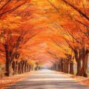 ヒメ日記 2025/11/12 06:59 投稿 西本 MadameRest(マダムレスト)