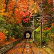 ヒメ日記 2025/11/13 06:53 投稿 西本 MadameRest(マダムレスト)