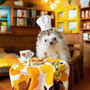 ヒメ日記 2025/11/15 05:59 投稿 西本 MadameRest(マダムレスト)