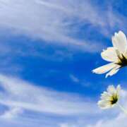 ヒメ日記 2025/11/17 08:55 投稿 西本 MadameRest(マダムレスト)