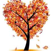 ヒメ日記 2025/11/20 06:00 投稿 西本 MadameRest(マダムレスト)