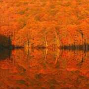 ヒメ日記 2025/11/21 05:54 投稿 西本 MadameRest(マダムレスト)