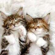 ヒメ日記 2025/11/21 08:51 投稿 西本 MadameRest(マダムレスト)