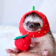 ヒメ日記 2025/11/22 21:00 投稿 西本 MadameRest(マダムレスト)