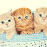 ヒメ日記 2025/11/28 08:51 投稿 西本 MadameRest(マダムレスト)