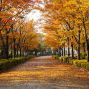 ヒメ日記 2025/12/02 08:50 投稿 西本 MadameRest(マダムレスト)