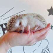 ヒメ日記 2025/12/08 05:47 投稿 西本 MadameRest(マダムレスト)