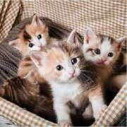 ヒメ日記 2025/12/11 07:03 投稿 西本 MadameRest(マダムレスト)