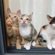 ヒメ日記 2025/12/12 08:47 投稿 西本 MadameRest(マダムレスト)