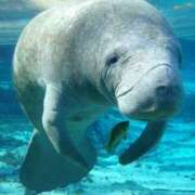 ヒメ日記 2025/12/15 06:18 投稿 西本 MadameRest(マダムレスト)